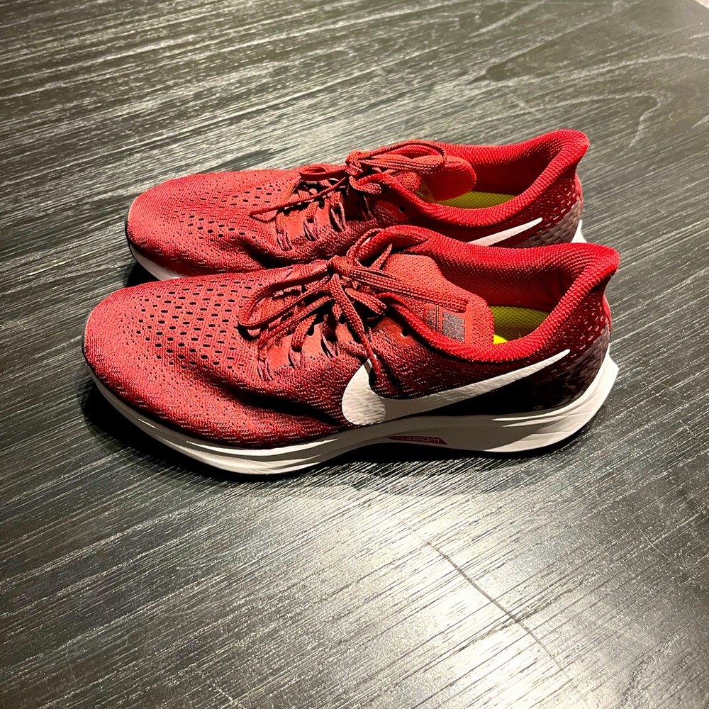 Nike Zoom Pegasus